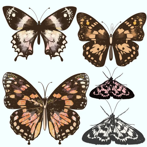 Sběr vektorových realistické motýlů — Stockový vektor