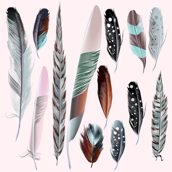 Set of vector realistic feathers for design — Stock Vector