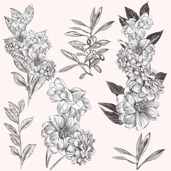 Collection of high detailed hand drawn flowers — Stock Vector