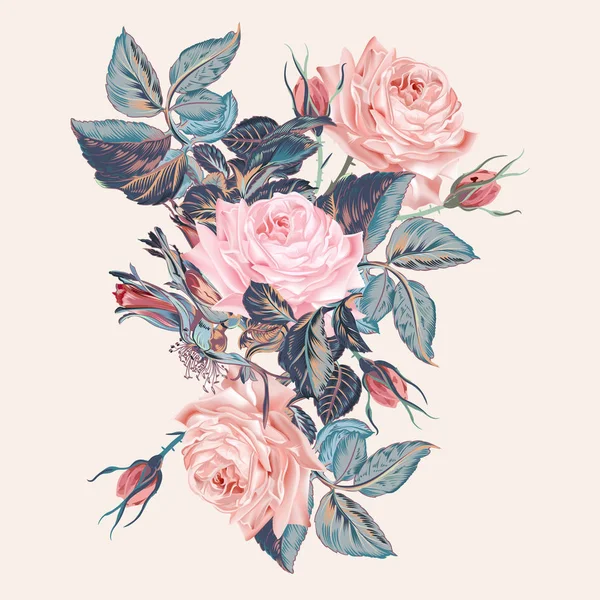 Ботаническая векторная винтажная иллюстрация с розовыми розовыми цветами — стоковый вектор