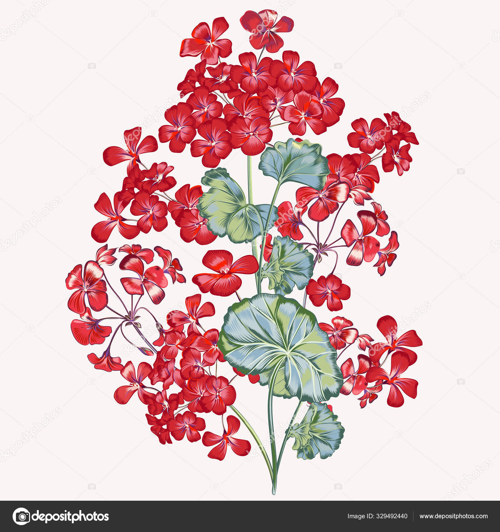 Dibujo de la flor de geranio imágenes de stock de arte vectorial | Depositphotos Dibujo de la flor de geranio imágenes de stock de arte vectorial | Depositphotos