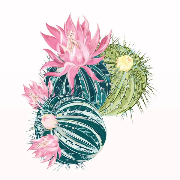現実的な高詳細スタイルのサボテンベクトル花 — ストックベクタ