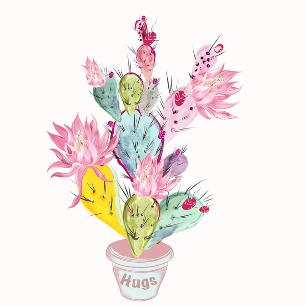 Mooie vector illustratie met roze cactus bloem en plant — Stockvector
