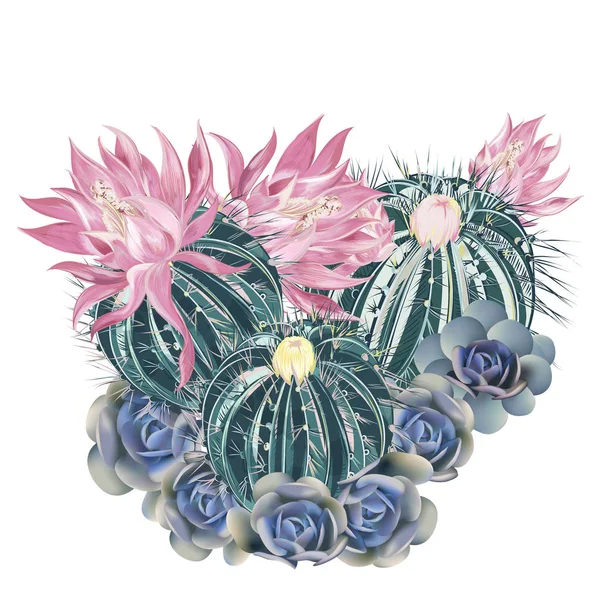Иллюстрация, отпечаток футболки с розовым цветущим кактусом и синими буквами — стоковый вектор