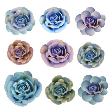 Tasarım için gerçekçi biçimdeki vektör sulu bitkilerin koleksiyonu