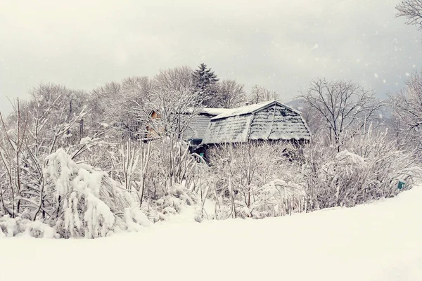 Verschneite Winterlandschaft Mit Schnee Bäumen Und Dorfhaus — Stockfoto