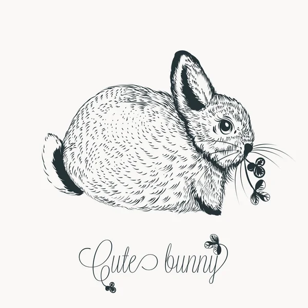 Illustration Cute Vector Hand Drawn Little Rabbit — Stock Vector