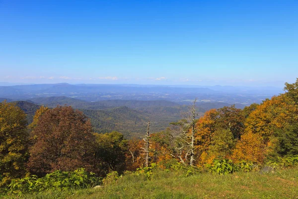 Arnold Dalen Virginia Från Blue Ridge Parkway Höst — Stockfoto