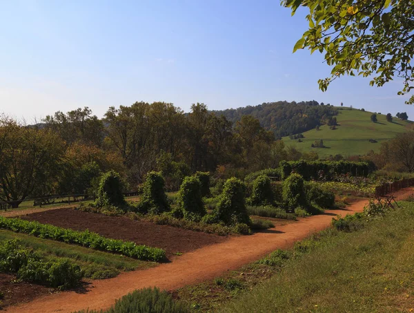 Vegetable Garden Monticello Casa Thomas Jefferson — Foto de Stock