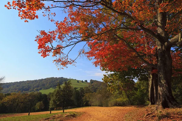 徒步旅行小径在秋天 的物产 徒步旅行路线到杰斐逊的坟墓里 — 图库照片