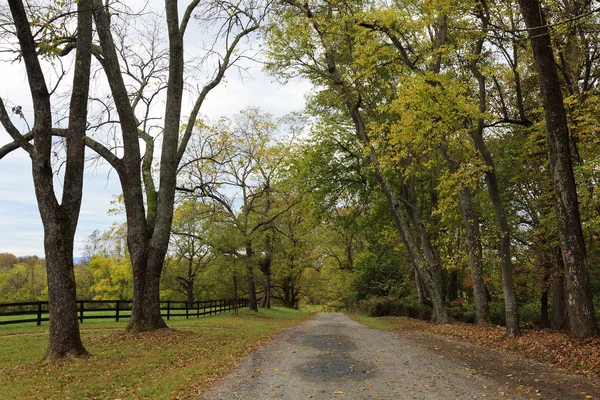 Weg Auf Dem Grundstück Von Montpelier Der Heimat Von James — Stockfoto