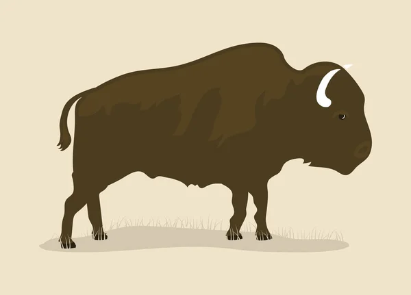 Vintage Buffalo Draw North America Animal — Vetor de Stock