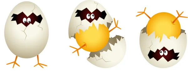 Piliç kırık yumurta kabuğu — Stok Vektör