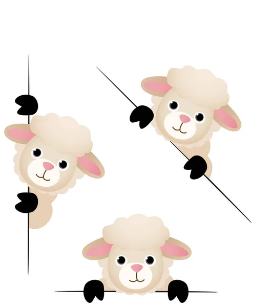 Mignon mouton regardant par derrière dans diverses positions — Image vectorielle