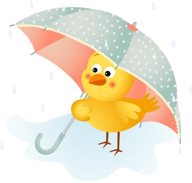 Şemsiye ile yağmurda piliç