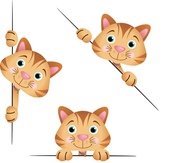 Schattige kat gluren van achteren in diverse posities — Stockvector