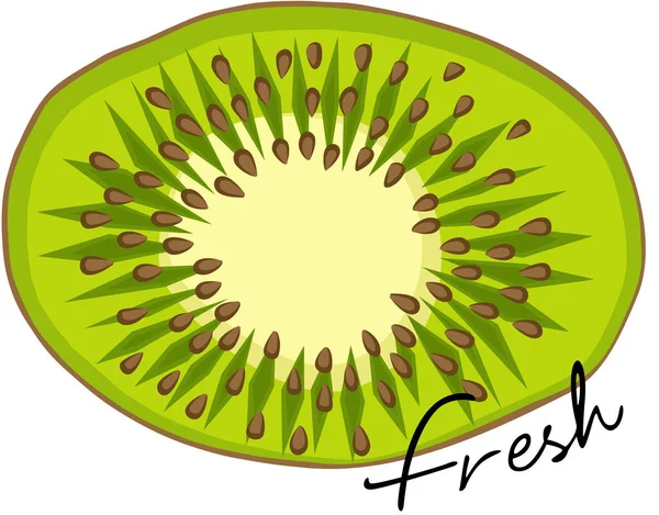 Rebanada de kiwi fresco — Vector de stock