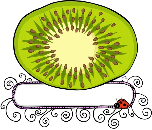 Kiwi banner en blanco rebanada con mariquita — Vector de stock