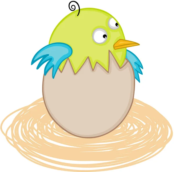 Cute baby bird in egg nest — Stock Vector