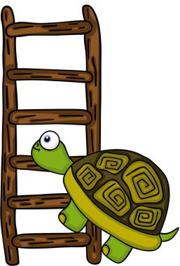 Ahşap merdivenle tırmanma kaplumbağa