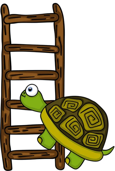 Schildpad klimmen op een houten ladder — Stockvector