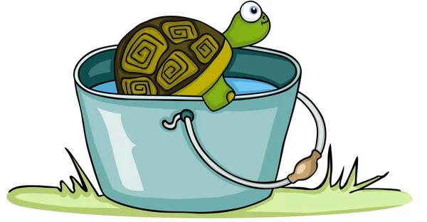 Tartaruga in secchio con acqua — Vettoriale Stock