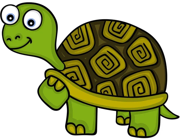 Skalbar Vectorial Som Representerar Söt Liten Sköldpadda Illustration Isolerade Vit — Stock vektor