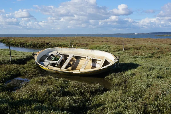 Eski ahşap balıkçı teknesi nehir tarafından terk edilmiş.