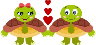 Birbirine aşık şirin kaplumbağalar.