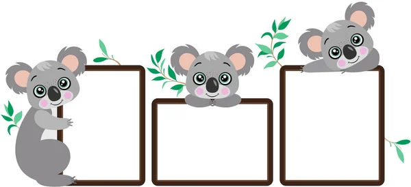 Drie Lege Frames Met Schattige Koala Bamboe Bladeren — Stockvector