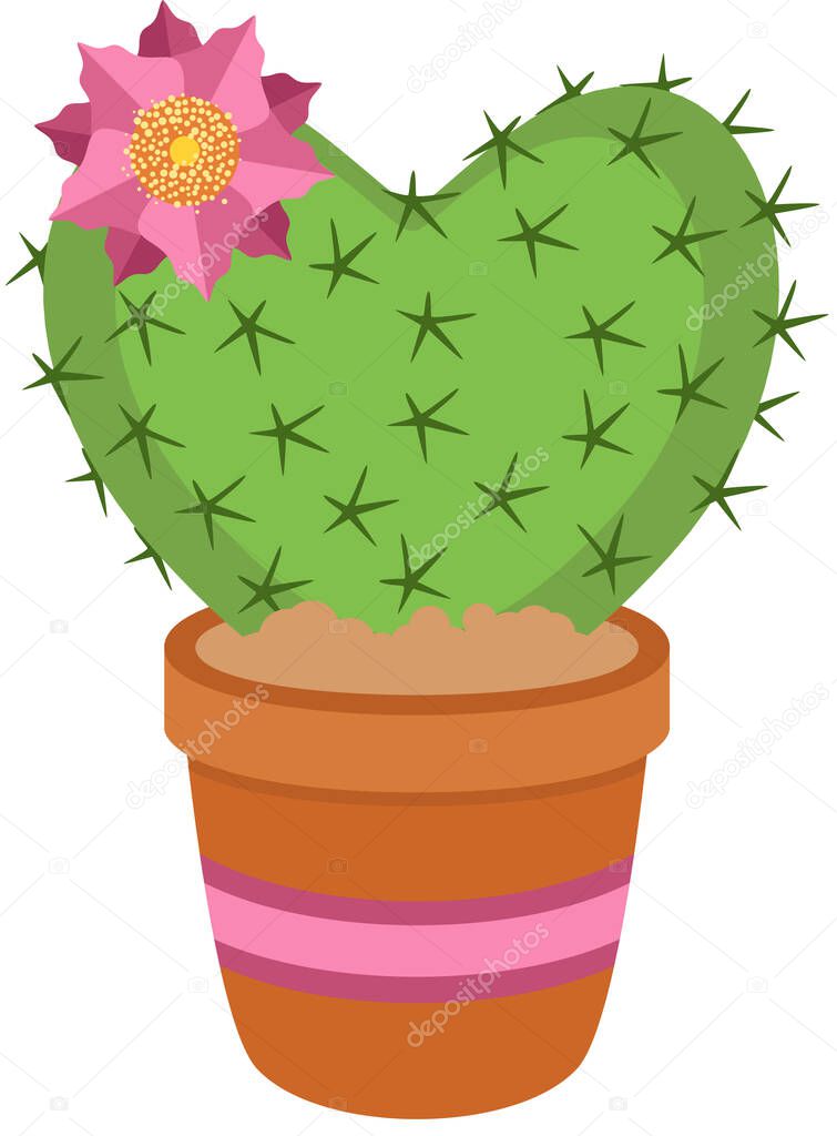 Blossom of succulent cactus shaped heart on potted