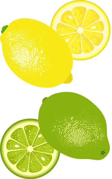 Limone Calce Isolati Bianco — Vettoriale Stock