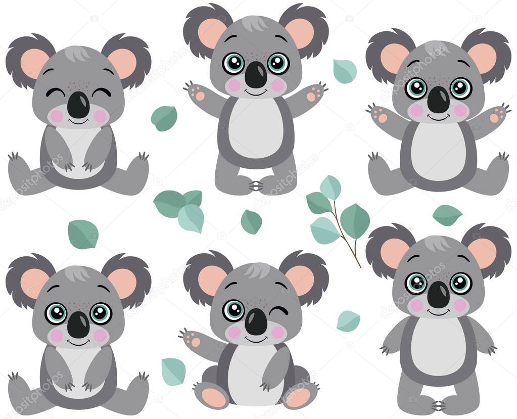 Set of koalas of different positions
