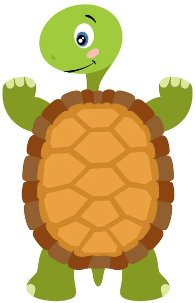 Vriendelijke Schildpad Geïsoleerd Wit — Stockvector