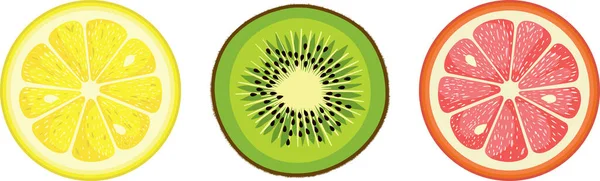 Uppsättning Kiwi Och Citrus Runda Skivor — Stock vektor