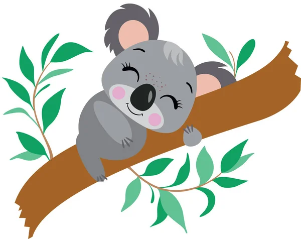 Little Koala Sleeping Eucalyptus Branch — Stock Vector