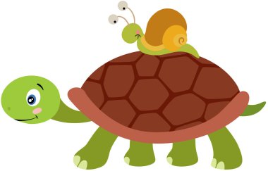 Kıymık üzerinde salyangoz taşıyan şirin kaplumbağa.