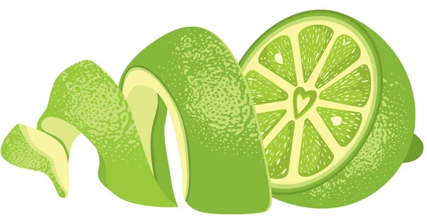 Moitiés Citron Vert Pelées Fraîches — Image vectorielle