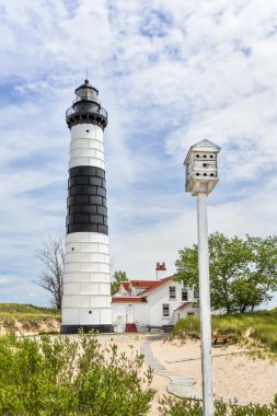 Deniz feneri ve kuş yuvası