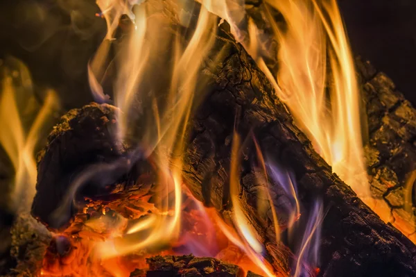 Burning Logs - Flames in the Fire PIt — Stock Photo, Image