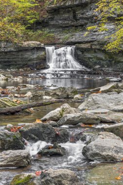 Mccormicks Creek Falls sonbahar
