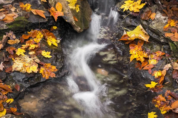 Fall splash - ein plätschernder Bach fließt über Felsen mit umgebendem Falllaub. — Stockfoto