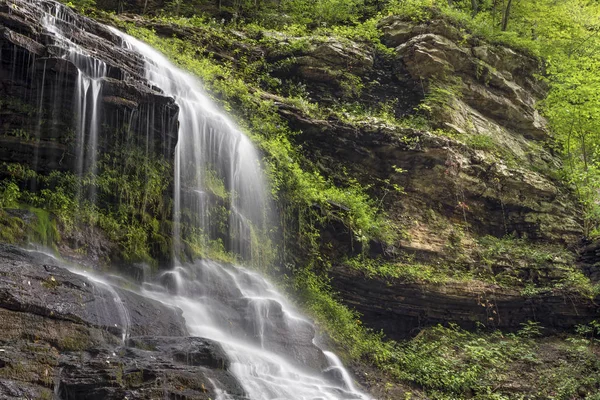 Cascata della Cattedrale della foresta — Foto Stock