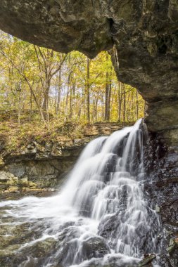 Mccormicks Creek Falls