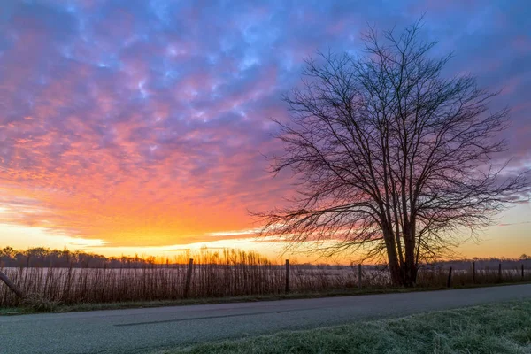 Eşsiz sabah - Indiana sabah — Stok fotoğraf