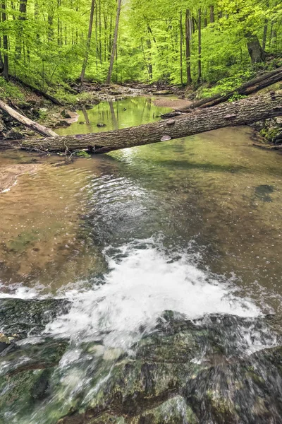 Downstream - Indiana Creek — Stock Photo, Image