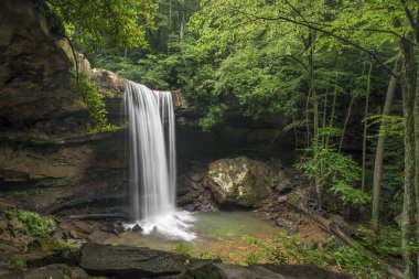 Pennsylvania Ohiopyle Eyalet Parkı'nda Salatalık Şelalesi