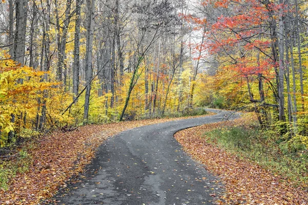 Autumn Curves - Indiana Country Road and Fall Foliage — Stock Photo, Image