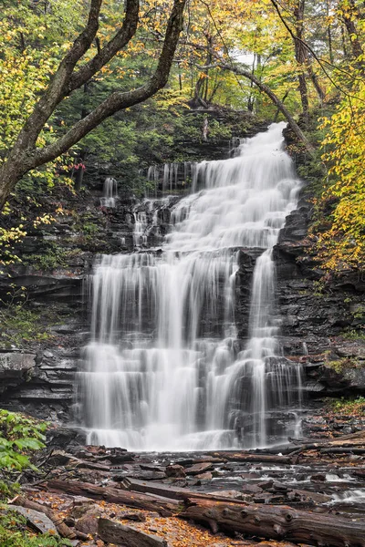 Őszi Ganoga Falls - Pennsylvania Stock Fotó