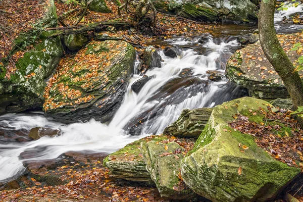 Glen leigh herbstliches Wildwasser — Stockfoto